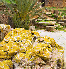 Image showing chellah  in morocco africa the old roman deteriorated monument a