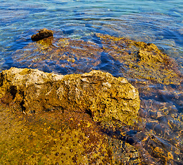 Image showing brown  stone in the coastline sunrise and light ocean white sky