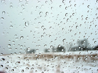 Image showing Water droplets