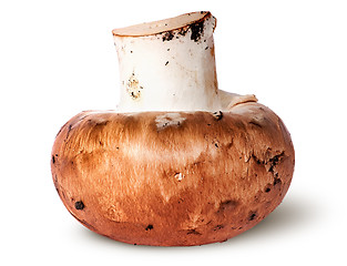 Image showing Single whole brown champignon