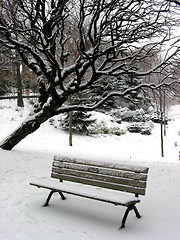 Image showing Winter bench 1