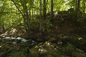 Image showing mountain river. forest