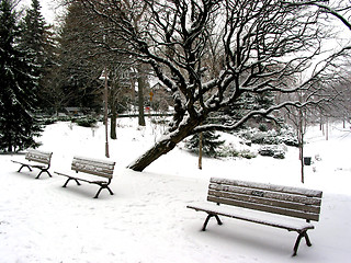 Image showing Winter benches