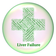 Image showing Liver Failure Indicates Lack Of Success And Ailment