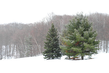 Image showing Winter landscape