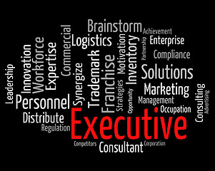 Image showing Executive Word Indicates Director General And Chairwoman