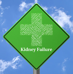 Image showing Kidney Failure Indicates Lack Of Success And Affliction