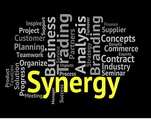 Image showing Synergy Word Means Working Together And Partner