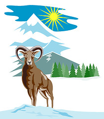 Image showing Wild sheep with mountain in background