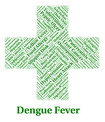 Image showing Dengue Fever Represents Poor Health And Affliction