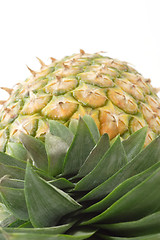 Image showing Close up of a pineapple