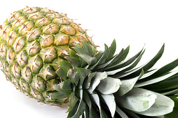 Image showing Fresh pineapple