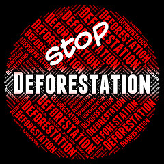 Image showing Stop Deforestation Shows Cut Down And Control