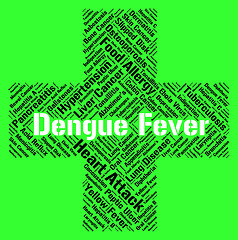 Image showing Dengue Fever Shows High Temperature And Attack