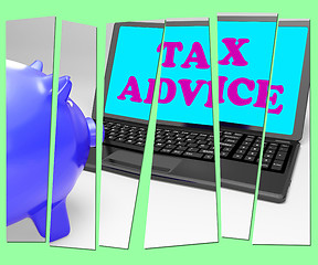 Image showing Tax Advice Piggy Bank Shows Professional Advising On  Taxation