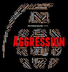 Image showing Aggression Word Indicates Assault Wordcloud And Warmongering