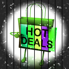 Image showing Hot Deals Shopping Bag Shows Discounts and Bargains