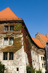 Image showing Red roofs