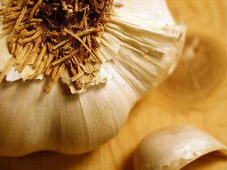 Image showing garlic