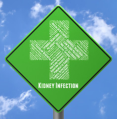 Image showing Kidney Infection Indicates Ill Health And Advertisement