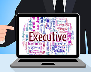 Image showing Executive Word Indicates Director General And Boss