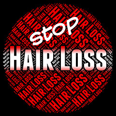 Image showing Stop Hair Loss Means Stopped Danger And No