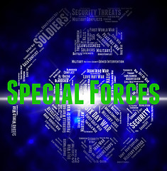 Image showing Special Forces Means High Value And Airborne