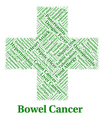 Image showing Bowel Cancer Indicates Large Intestines And Affliction