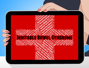 Image showing Irritable Bowel Syndrome Shows Ill Health And Fgid