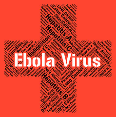 Image showing Ebola Virus Represents Microbe Pathogens And Disease