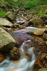 Image showing Flowing Stream