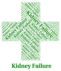 Image showing Kidney Failure Shows Lack Of Success And Affliction