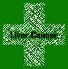 Image showing Liver Cancer Represents Poor Health And Afflictions