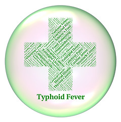 Image showing Typhoid Fever Indicates Symptomatic Bacterial Infection And Salm