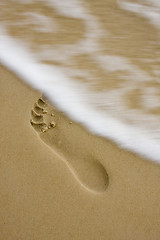 Image showing Footprint on the beach