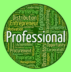 Image showing Professional Word Shows Proficiency Specialist And Excellence