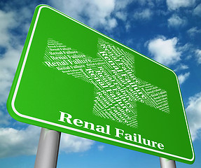 Image showing Renal Failure Represents Lack Of Success And Ailments