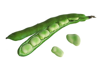 Image showing Broadbeans In Pods
