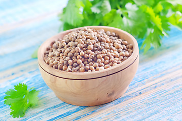 Image showing coriander