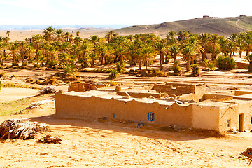 Image showing sahara      africa in morocco  palm the old contruction  