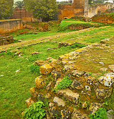 Image showing chellah  in morocco africa the old roman deteriorated monument a