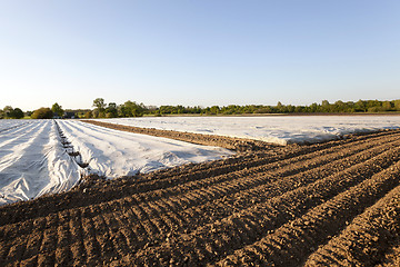 Image showing greenhouses in the field  