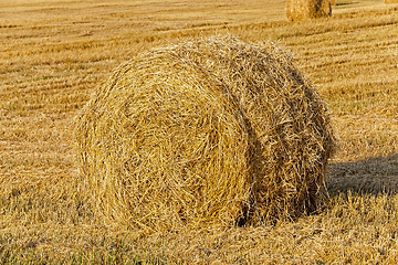 Image showing straw stack .  wheat 