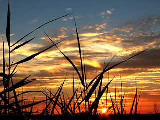 Image showing Sunset colors