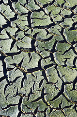 Image showing Cracked mud