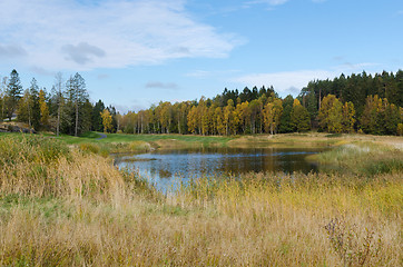 Image showing Autumn at golf cource