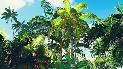 Image showing Lush vegetation in jungle