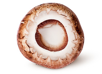 Image showing Cap on a brown champignon