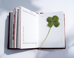 Image showing pressed clover