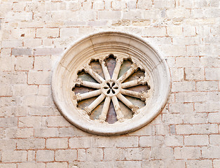 Image showing window. rosette close up  